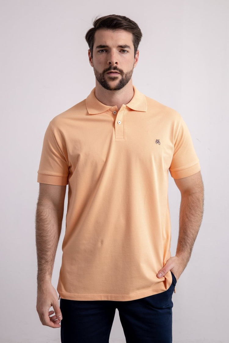 Chemisa Ropa Chemises